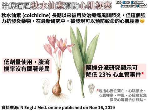 秋水仙素外觀|【秋水仙素 (colchicine)】不只能緩解痛風的發作，也能對抗其他。